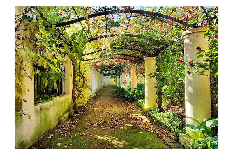 Valokuvatapetti Pergola 300x210, Artgeist sp. z o. o.