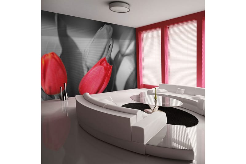 Valokuvatapetti Punaiset Tulppaanit Mustavalkoinen 300x231, Artgeist sp. z o. o.