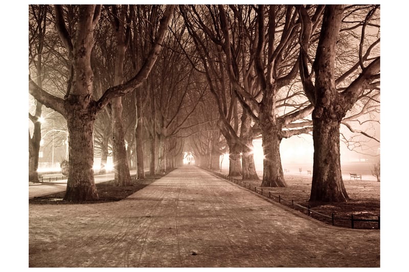 Valokuvatapetti Park Raja 350x270, Artgeist sp. z o. o.