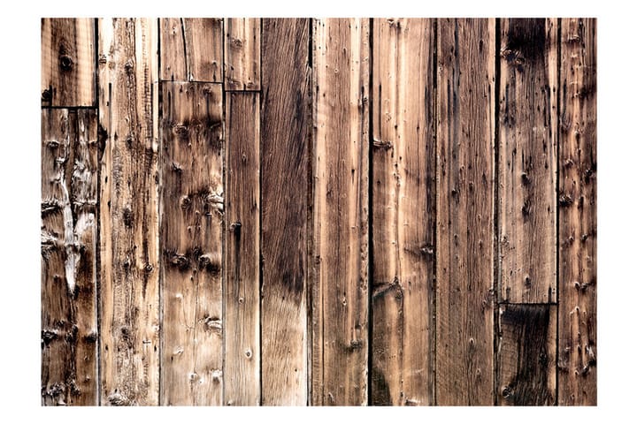 Valokuvatapetti Poetry Of Wood 300x210 - Artgeist sp. z o. o. - Valokuvatapetit