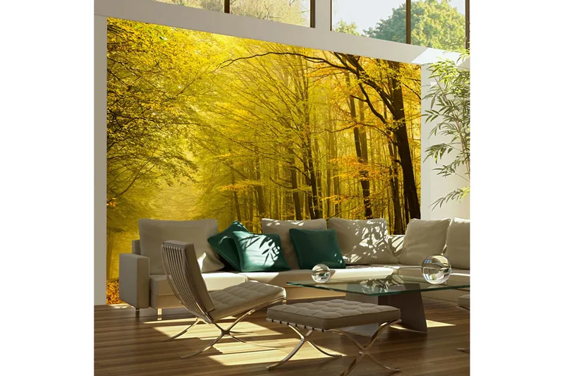Valokuvatapetti Syksyinen tie metsässä 350x270 - Artgeist sp. z o. o. - Sisustustuotteet - Seinäkoristeet - Tapetit - Valokuvatapetit