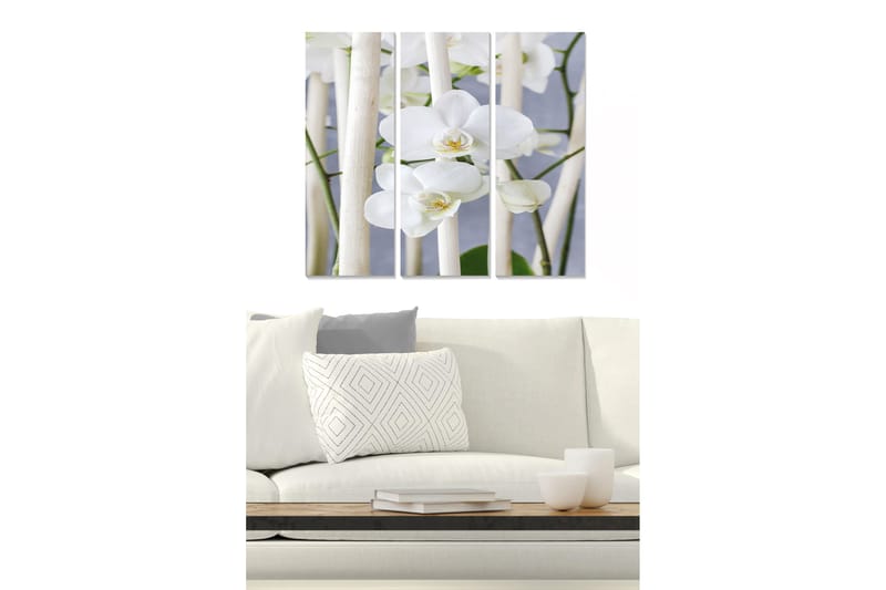 Taulu Animal 3-pak Monivärinen - 20x50 cm - Sisustustuotteet - Seinäkoristeet