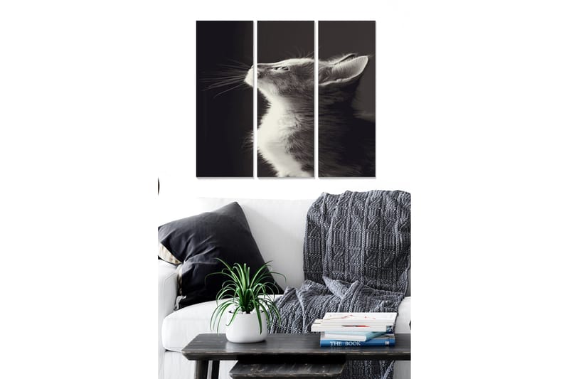 Taulu Animal 3-pak Monivärinen, 20x50 cm