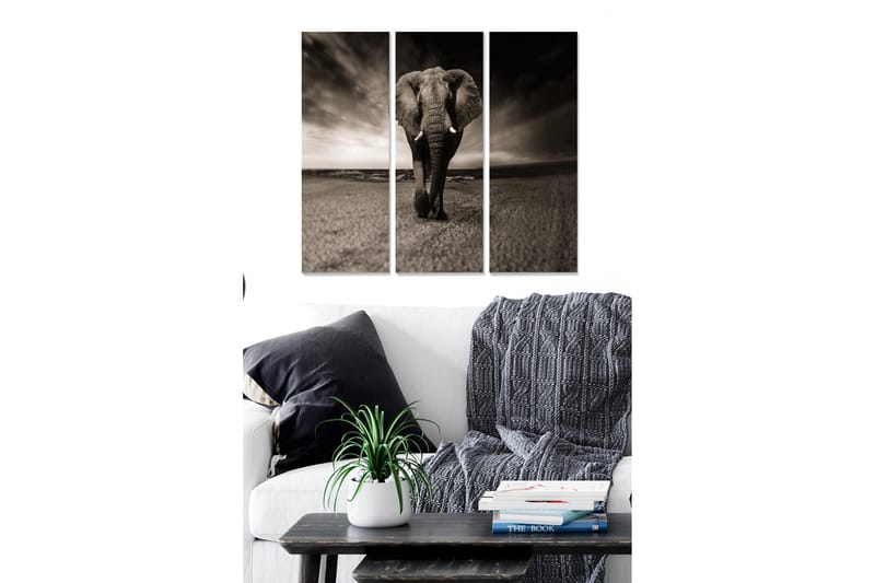 Taulu Animal 3-pak Monivärinen - 20x50 cm - Sisustustuotteet - Seinäkoristeet