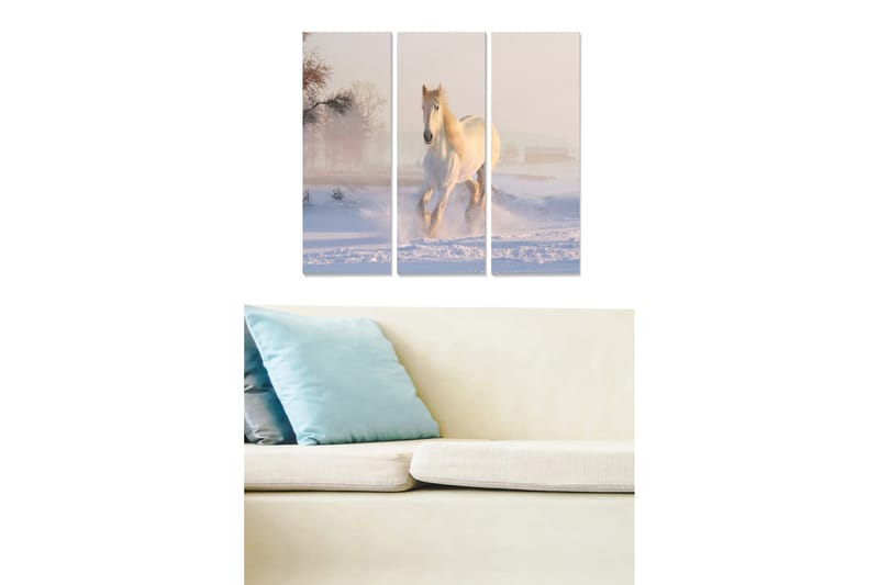 Taulu Animal 3-pak Monivärinen - 20x50 cm - Sisustustuotteet - Seinäkoristeet