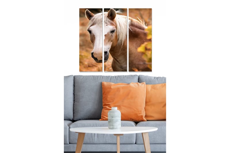 Taulu Animal 3-pak Monivärinen - 20x50 cm - Sisustustuotteet - Seinäkoristeet
