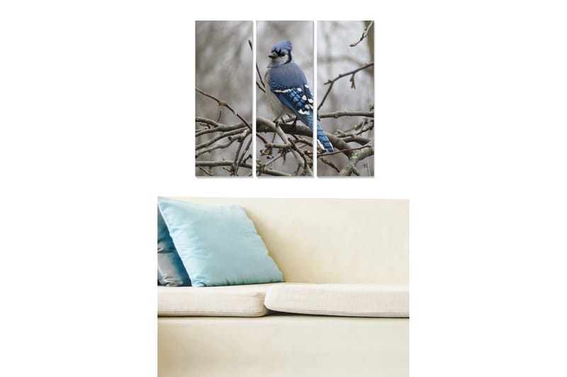 Taulu Animal 3-pak Monivärinen - 20x50 cm - Sisustustuotteet - Seinäkoristeet