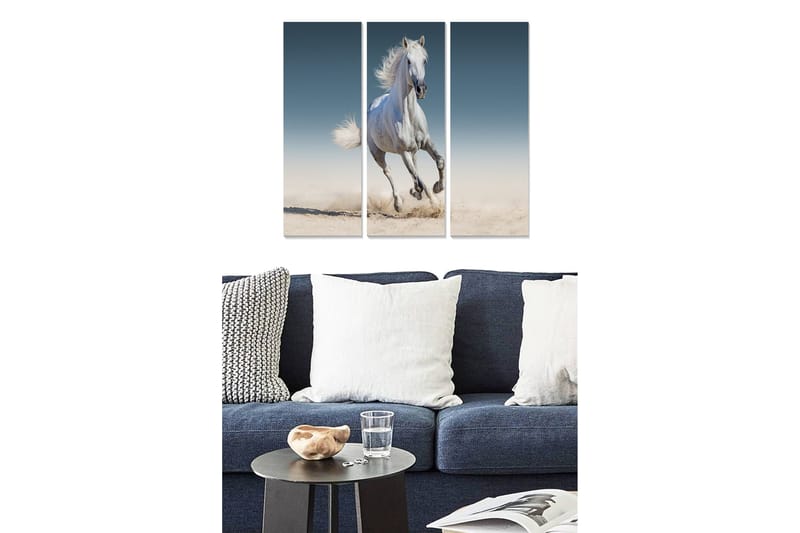 Taulu Animal 3-pak Monivärinen, 20x50 cm