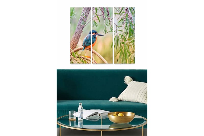 Taulu Animal 3-pak Monivärinen, 20x50 cm