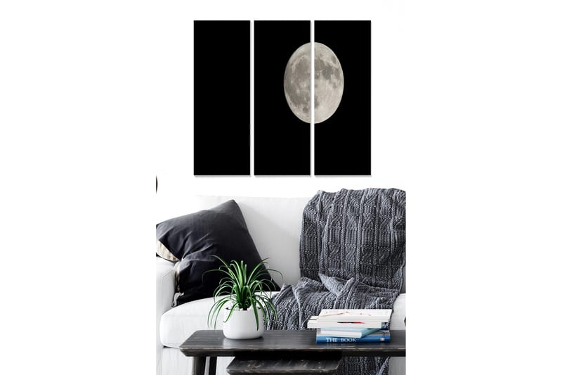 Taulu Astrology 3-pak Monivärinen, 20x50 cm