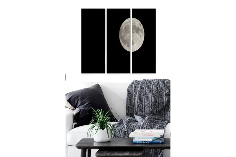 Taulu Astrology 3-pak Monivärinen - 20x50 cm - Sisustustuotteet - Seinäkoristeet