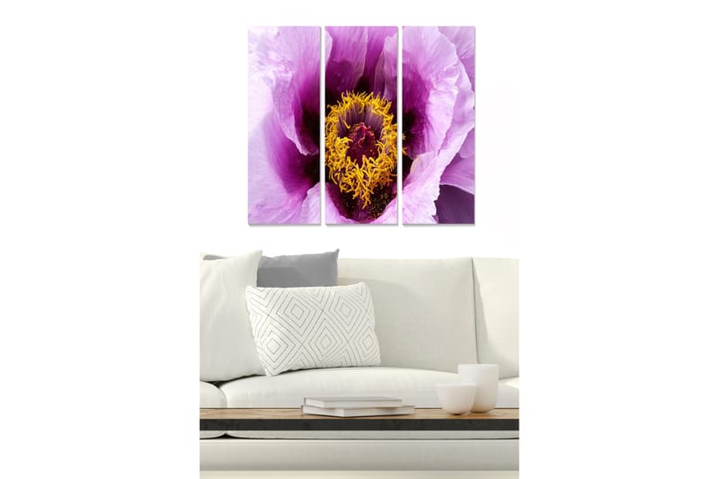 Taulu Floral 3-pak Monivärinen - 20x50 cm - Sisustustuotteet - Seinäkoristeet