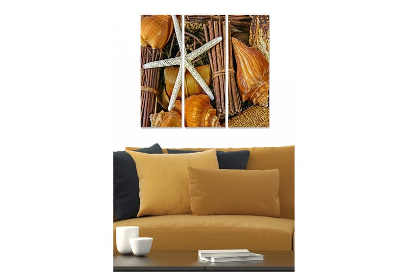 Taulu Nautical 3-pak Monivärinen, 20x50 cm