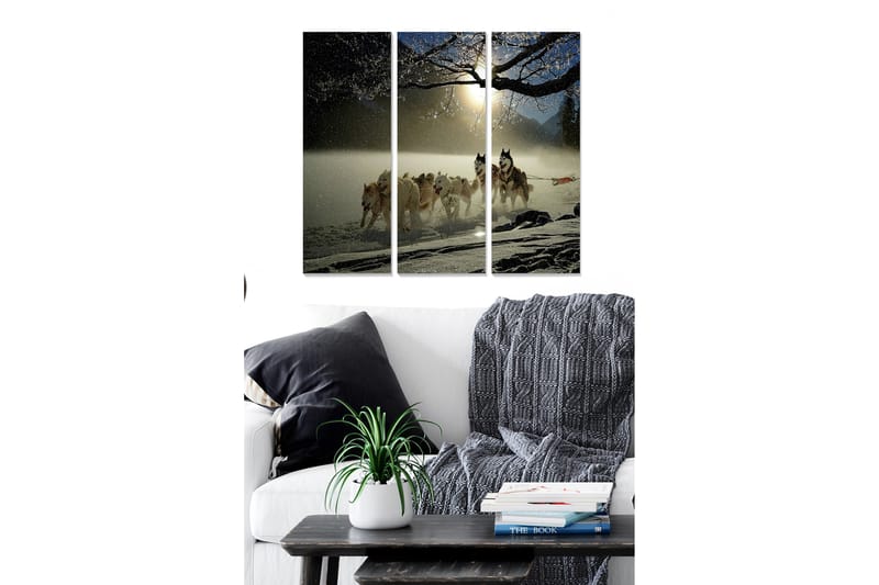 Taulu Scenic 3-pak Monivärinen - 20x50 cm - Sisustustuotteet - Seinäkoristeet