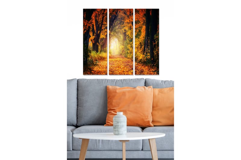 Taulu Scenic 3-pak Monivärinen - 20x50 cm - Sisustustuotteet - Seinäkoristeet