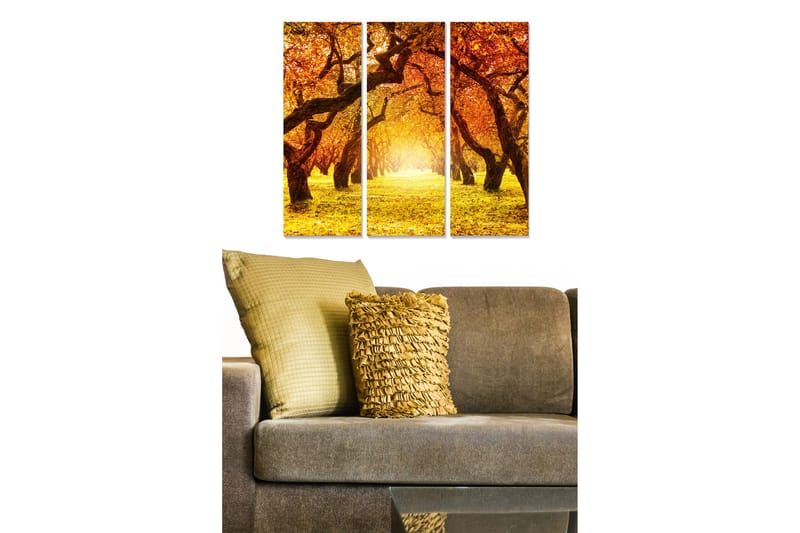 Taulu Scenic 3-pak Monivärinen, 20x50 cm