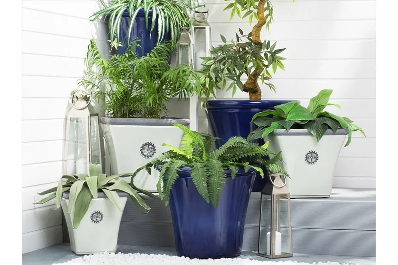 Kukkaruukku Elateia 35 cm, undefined