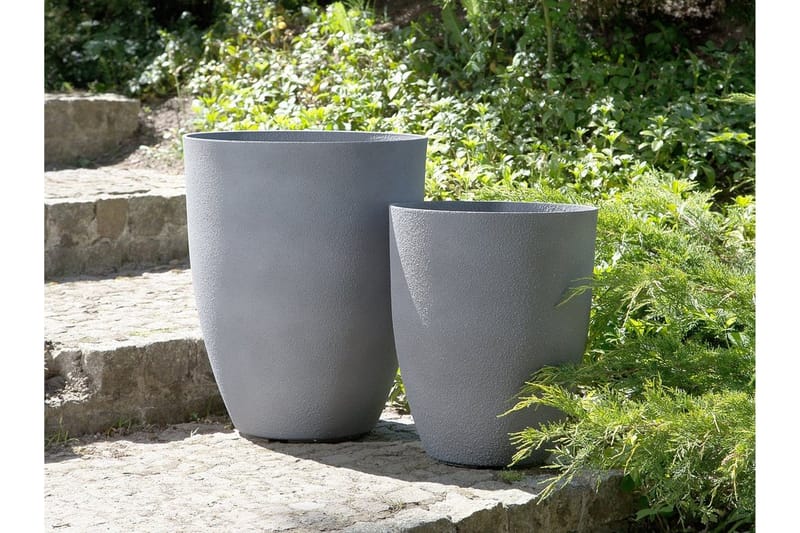 Ruukku Croton 43 cm, undefined