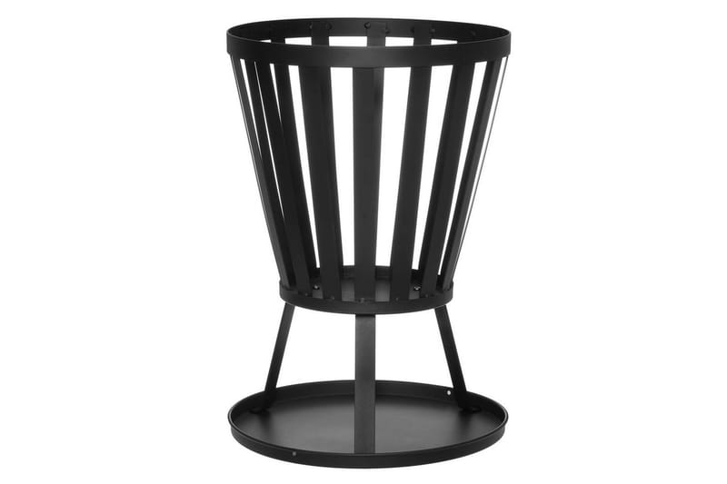 Tulipata Mustang Redding, undefined