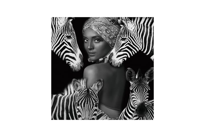 Akryylitaulu Zebra Queen 120x120 cm - Monivärinen - Taulu & taide