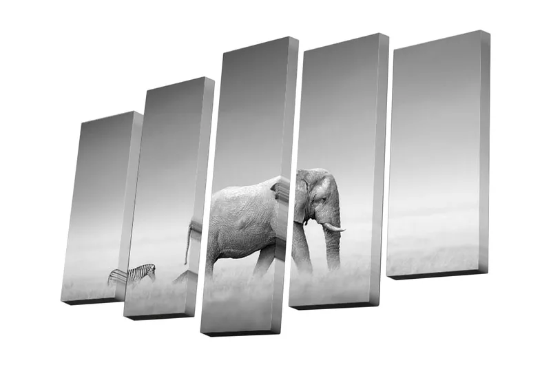 5-osainen canvas-taulu 82x50 cm - Elefantti ja seepra harmonisessa mustavalkoisessa sommitelmassa, Musta / Valkoinen / Harmaa