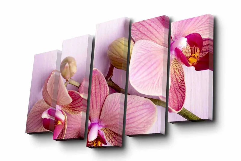 5-osainen canvas-taulu 82x50 cm - Ihana orkidea vaaleanpunaisissa sävyissä, Vaaleanpunainen / Violetti / Vihreä