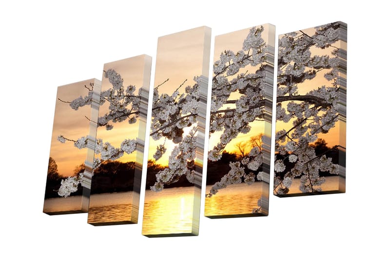 5-osainen canvas-taulu 82x50 cm - Kaunis kirsikankukka auringonlaskussa, Valkoinen / Oranssi / Keltainen