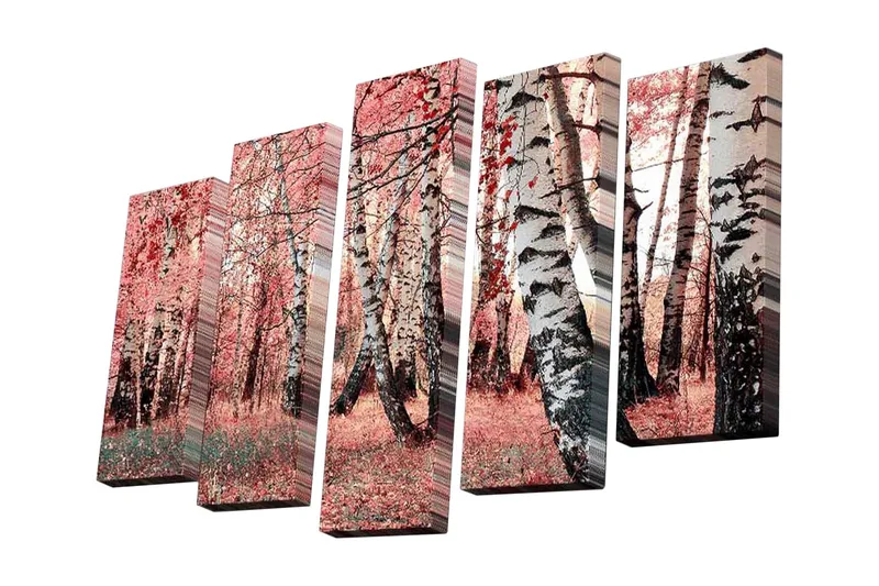 5-osainen canvas-taulu 82x50 cm - Kaunis metsä ja koivut syksyn väreissä, Vaaleanpunainen / Valkoinen / Musta