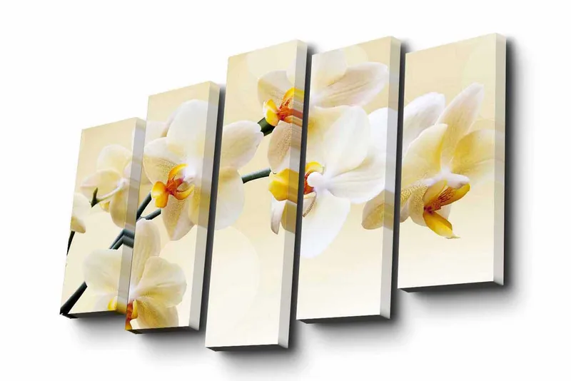 5-osainen canvas-taulu 82x50 cm - Kaunis orkidea pehmeissä sävyissä, Valkoinen / Keltainen