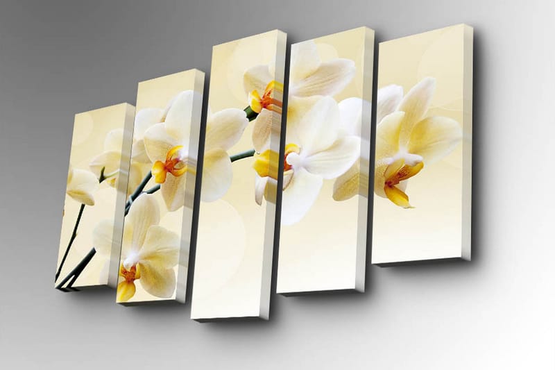 5-osainen canvas-taulu 82x50 cm - Kaunis orkidea pehmeissä sävyissä - Valkoinen / Keltainen - Sisustustuotteet - Taulu & taide - Canvas-taulu