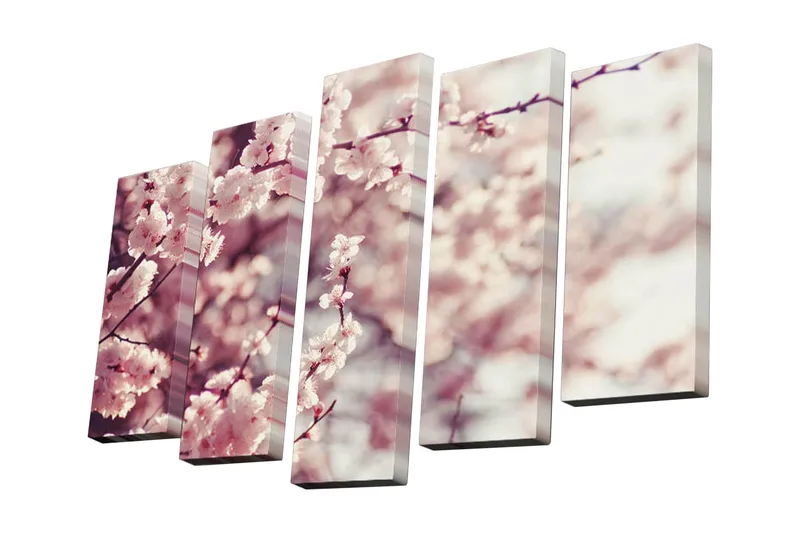 5-osainen canvas-taulu 82x50 cm - Kukkivia kirsikanoksia pehmeissä pastellisävyissä, Vaaleanpunainen / Valkoinen / Tummanpunainen