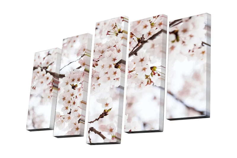 5-osainen canvas-taulu 82x50 cm - Kukkivia kirsikkapuita kevään valossa, Vaaleanpunainen / Valkoinen / Vihreä