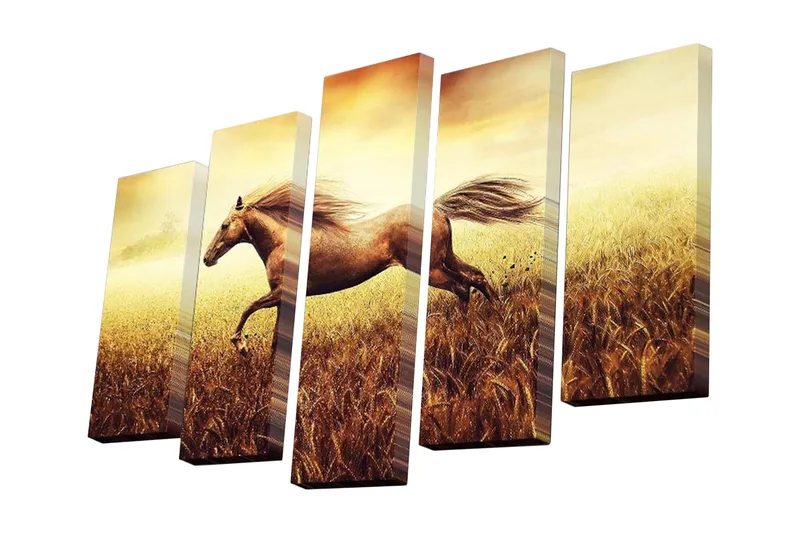 5-osainen canvas-taulu 82x50 cm - Laukkaava hevonen kultaisessa niityssä, Kulta / Ruskea / Beige