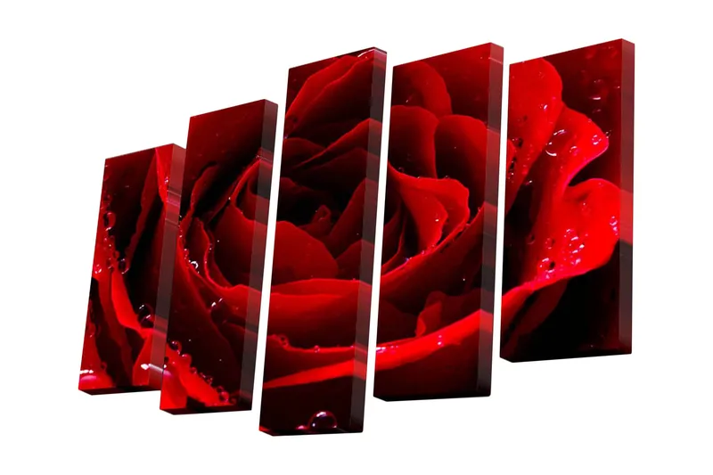 5-osainen canvas-taulu 82x50 cm - Syvänpunainen ruusu vesipisaroilla, Punainen / Tummanpunainen
