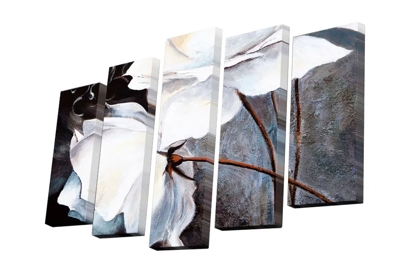 5-osainen canvas-taulu 82x50 cm - Tyyliteltyjä valkoisia kukkia tummilla yksityiskohdilla, Valkoinen / Musta / Harmaa