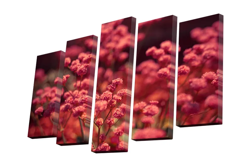 5-osainen canvas-taulu 82x50 cm - Värikäs kukka-asetelma vaaleanpunaisilla kukilla, Vaaleanpunainen / Vihreä