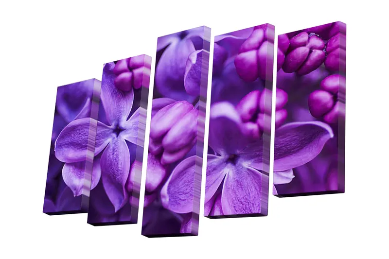 5-osainen canvas-taulu 82x50 cm - Värikäs sommitelma violetin sävyisistä syreeneistä, Violetti / Tummanvioletti
