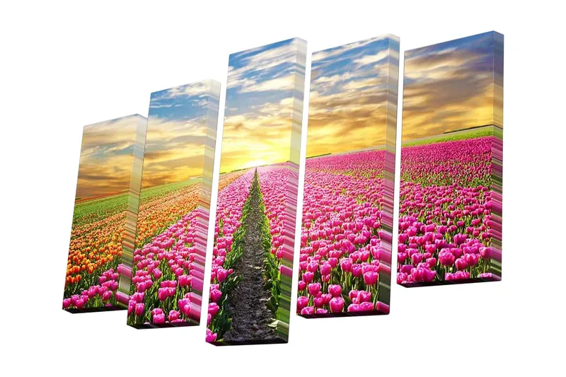 5-osainen canvas-taulu 82x50 cm - Värikäs tulppaanipelto auringonlaskun aikaan, Vaaleanpunainen / Oranssi / Vihreä