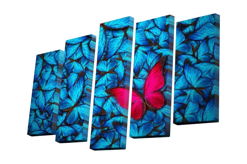 5-osainen canvas-taulu 82x50 cm - Värikäs perhoskokoelma, jossa näkyvä vaaleanpunainen perhonen, Sininen / Vaaleanpunainen