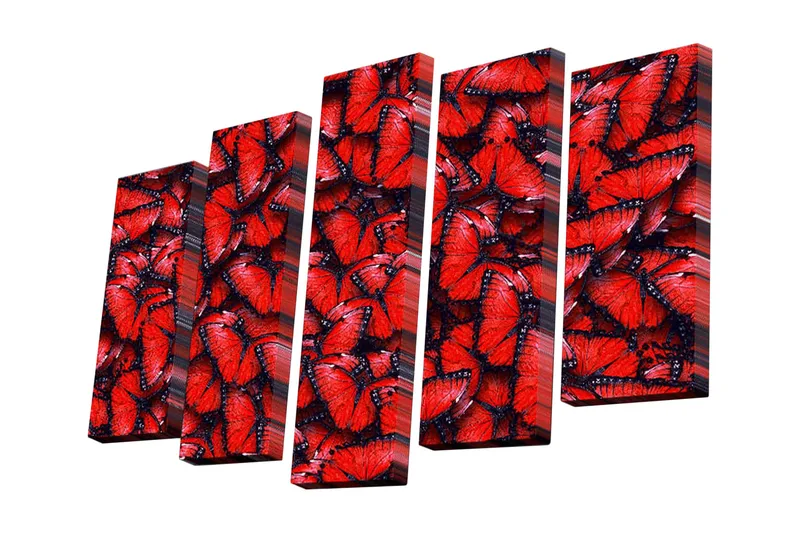 5-osainen canvas-taulu 82x50 cm - Värikäs perhoskokoelma punaisena, Punainen / Musta