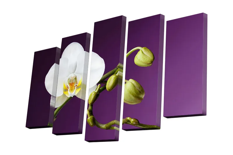 5-osainen canvas-taulu 82x50 cm - Valkoinen orkidea vihreillä nupuilla violetilla taustalla, Valkoinen / Violetti / Vihreä
