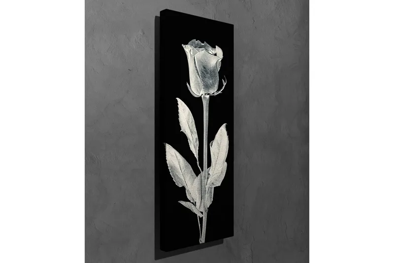Canvas-taulu 30x80 cm - Valkoinen ruusu mustalla taustalla - Valkoinen / Musta - Sisustustuotteet - Taulu & taide - Canvas-taulu