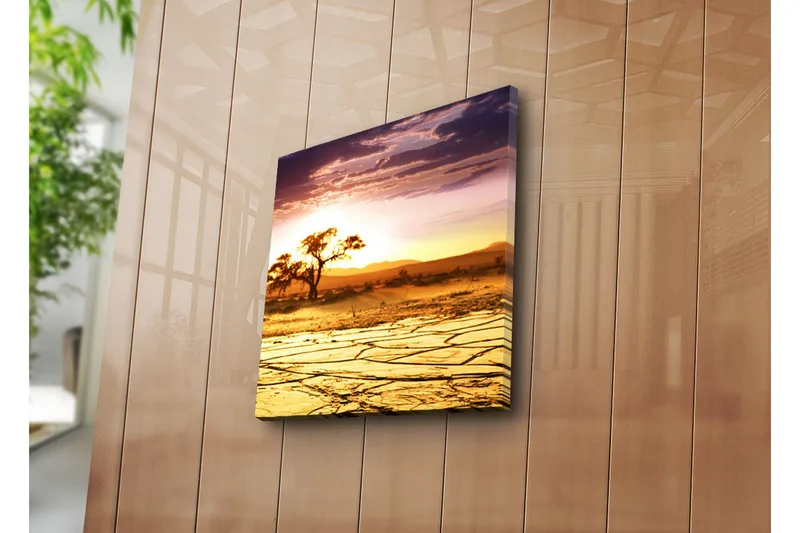 Canvas-taulu 45x45 cm - Auringonlasku aavikon yllä yksinäisen puun kanssa - Kulta / Oranssi / Violetti - Sisustustuotteet - Taulu & taide - Canvas-taulu