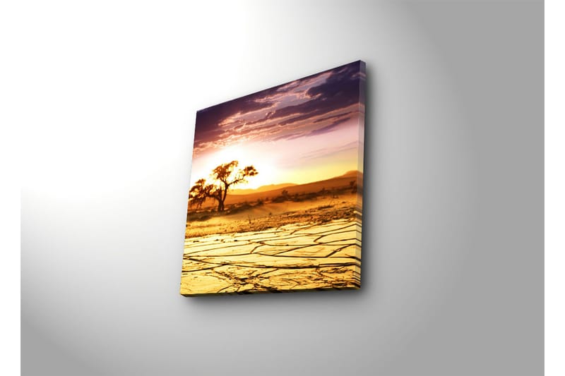 Canvas-taulu 45x45 cm - Auringonlasku aavikon yllä yksinäisen puun kanssa - Kulta / Oranssi / Violetti - Sisustustuotteet - Taulu & taide - Canvas-taulu