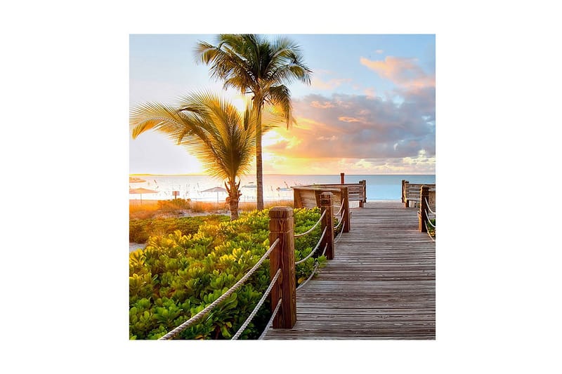 Canvas-taulu 45x45 cm - Auringonlasku rantakadun yllä palmujen ja vehreyden keskellä - Vihreä / Oranssi / Sininen - Sisustustuotteet - Taulu & taide - Canvas-taulu