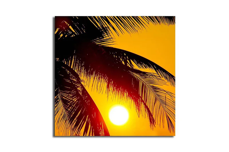 Canvas-taulu 45x45 cm - Auringonlasku palmujen takana, Keltainen / Musta