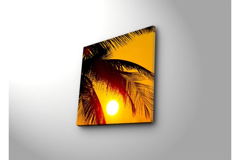 Canvas-taulu 45x45 cm - Auringonlasku palmujen takana - Keltainen / Musta - Sisustustuotteet - Taulu & taide - Canvas-taulu