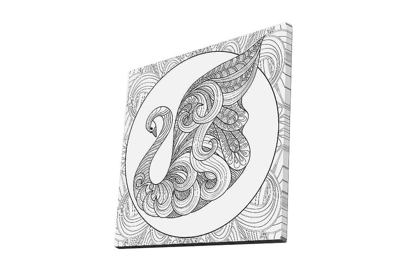 Canvas-taulu 45x45 cm - Elegantti joutsen monimutkaisilla kuvioilla, Musta / Valkoinen