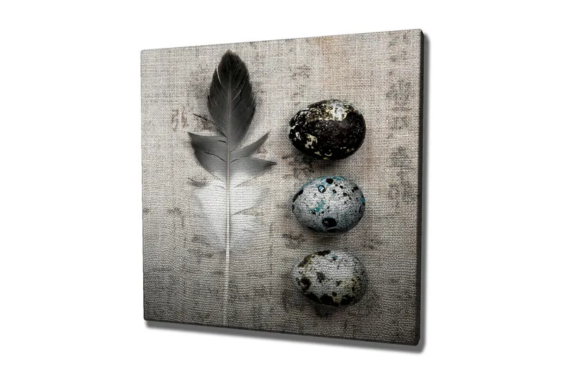 Canvas-taulu 45x45 cm - Höyheniä ja munia teksturoitulla taustalla - Harmaa / Musta / Sininen - Sisustustuotteet - Taulu & taide - Canvas-taulu