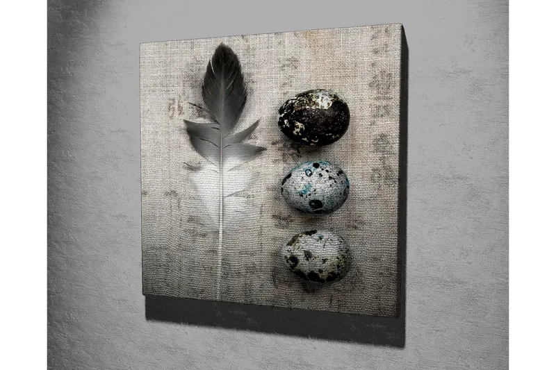 Canvas-taulu 45x45 cm - Höyheniä ja munia teksturoitulla taustalla - Harmaa / Musta / Sininen - Sisustustuotteet - Taulu & taide - Canvas-taulu